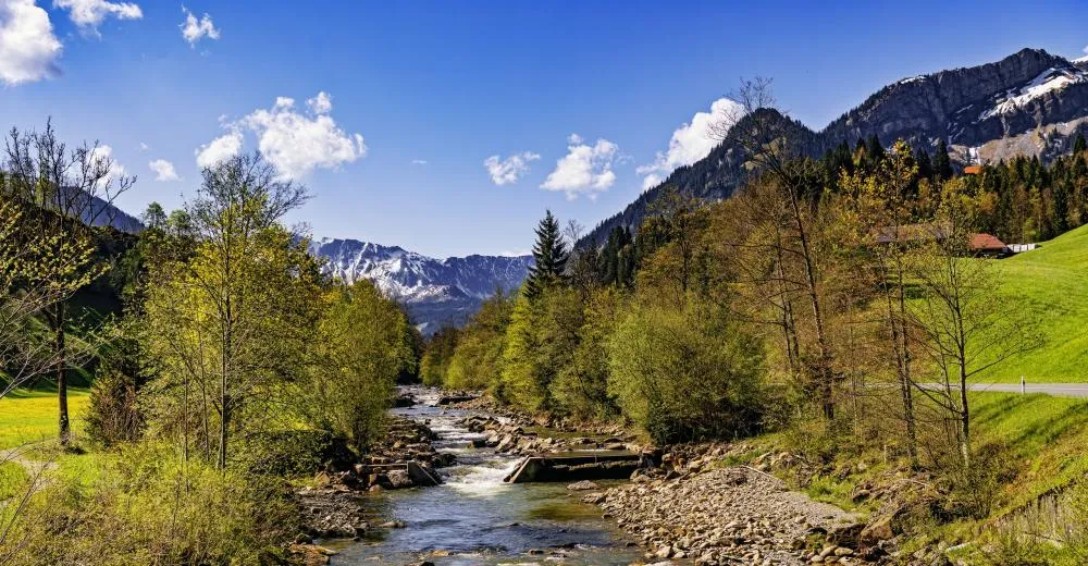 Вступительное фото