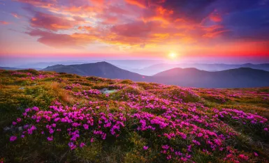 Фото экскурсии 2